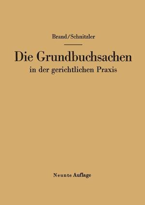 Die Grundbuchsachen in der gerichtlichen Praxis