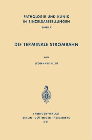 Die Terminale Strombahn