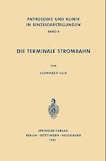 Die Terminale Strombahn