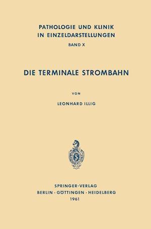 Die Terminale Strombahn