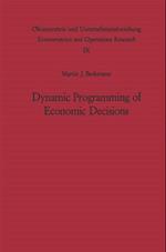 Dynamic Programming of Economic Decisions
