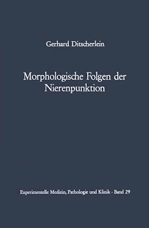 Morphologische Folgen der Nierenpunktion