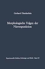 Morphologische Folgen der Nierenpunktion