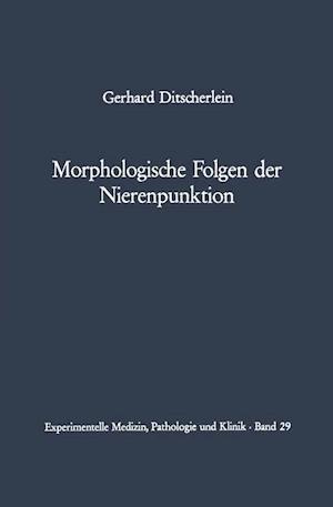 Morphologische Folgen der Nierenpunktion