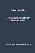 Morphologische Folgen der Nierenpunktion