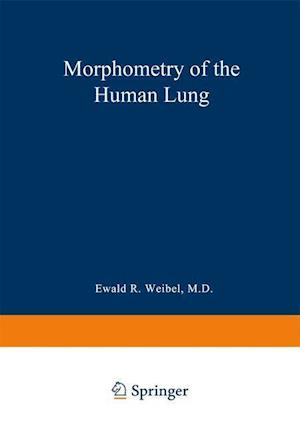 Morphometry of the Human Lung