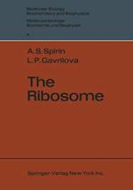 Ribosome