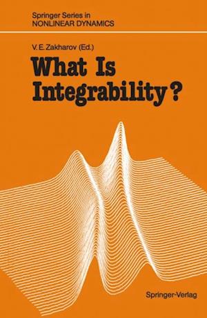 What Is Integrability?