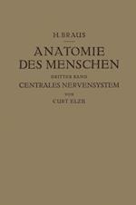 Anatomie Des Menschen Ein Lehrbuch Für Studierende Und Är&#438;te