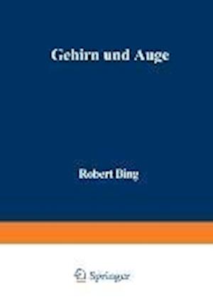 Gehirn und Auge