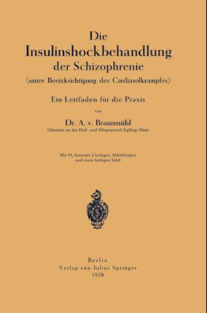 Die Insulinshockbehandlung Der Schizophrenie