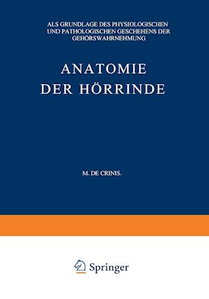 Anatomie Der Hörrinde