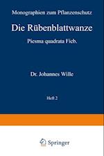 Die Rübenblattwanze