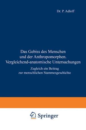 Das Gebiss des Menschen und der Anthropomorphen. Vergleichend-anatomische Untersuchungen