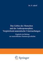 Das Gebiss des Menschen und der Anthropomorphen. Vergleichend-anatomische Untersuchungen