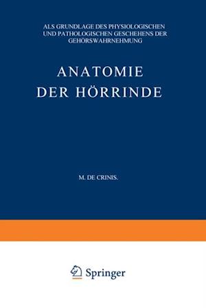 Anatomie der Hörrinde