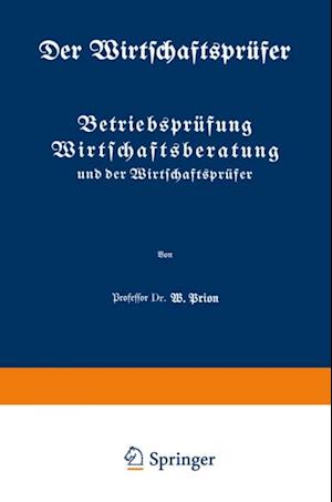 Betriebsprüfung Wirtschaftsberatung und der Wirtschaftsprüfer