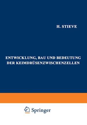 Entwicklung, Bau und Bedeutung der Keimdrüsenzwischenzellen