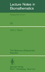 Belousov-Zhabotinskii Reaction