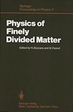 Physics of Finely Divided Matter