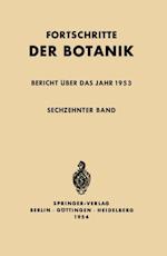 Bericht über das Jahr 1953