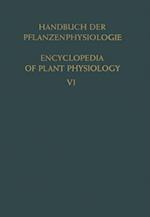 Aufbau · Speicherung · Mobilisierung und Umbildung der Kohlenhydrate / Formation · Storage · Mobilization and Transformation of Carbohydrates