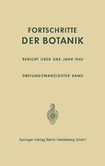 Bericht über das Jahr 1960