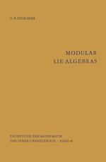 Modular Lie Algebras
