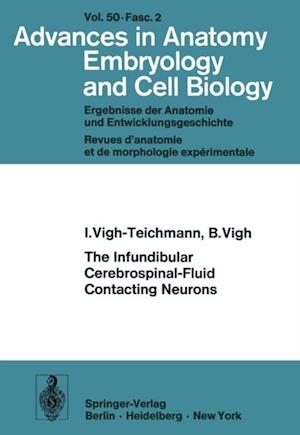 Infundibular Cerebrospinal-Fluid Contacting Neurons