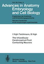 Infundibular Cerebrospinal-Fluid Contacting Neurons