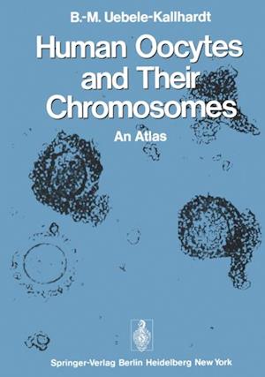 Human Oocytes and Their Chromosomes