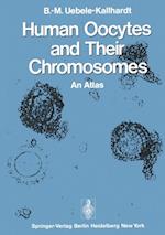 Human Oocytes and Their Chromosomes