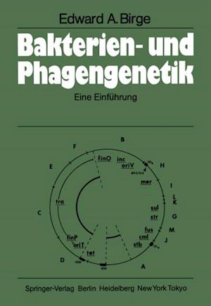 Bakterien- und Phagengenetik