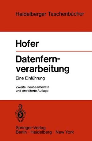 Datenfernverarbeitung