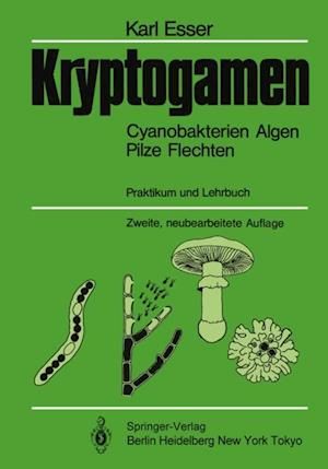 Kryptogamen