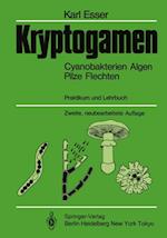 Kryptogamen