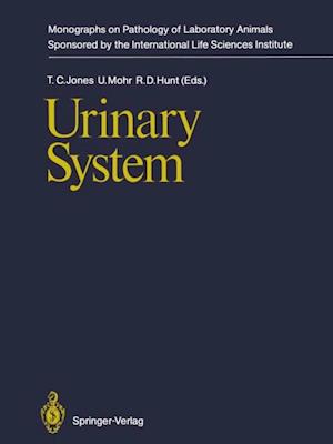 Urinary System