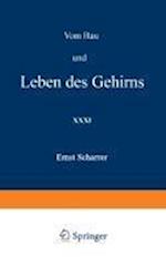 Vom Bau Und Leben Des Gehirns