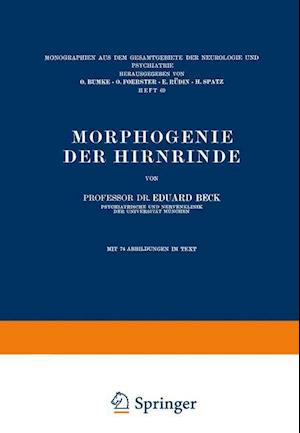 Morphogenie Der Hirnrinde