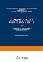 Morphogenie Der Hirnrinde