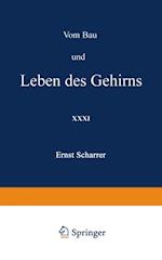 Vom Bau und Leben des Gehirns