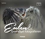 Eulen & Greifvögel fotografieren