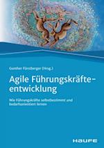 Agile Führungskräfteentwicklung