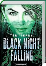Black Night Falling (Bd. 3)