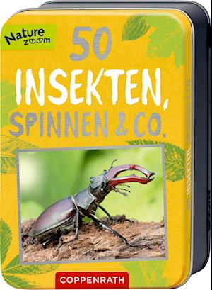 50 Insekten, Spinnen & Co.