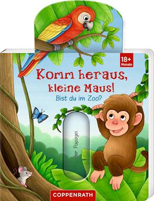 Komm heraus, kleine Maus!: Bist du im Zoo?