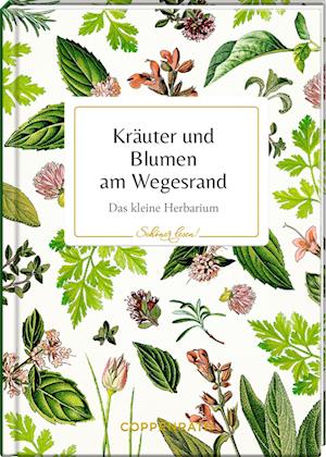 Kräuter und Blumen am Wegesrand