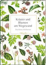 Kräuter und Blumen am Wegesrand