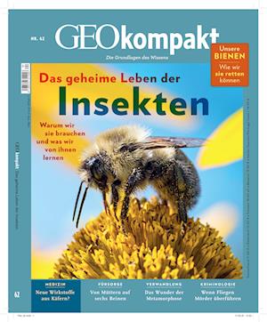 GEOkompakt 62/2020