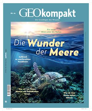 GEOkompakt 66/2021 - Die Wunder der Meere